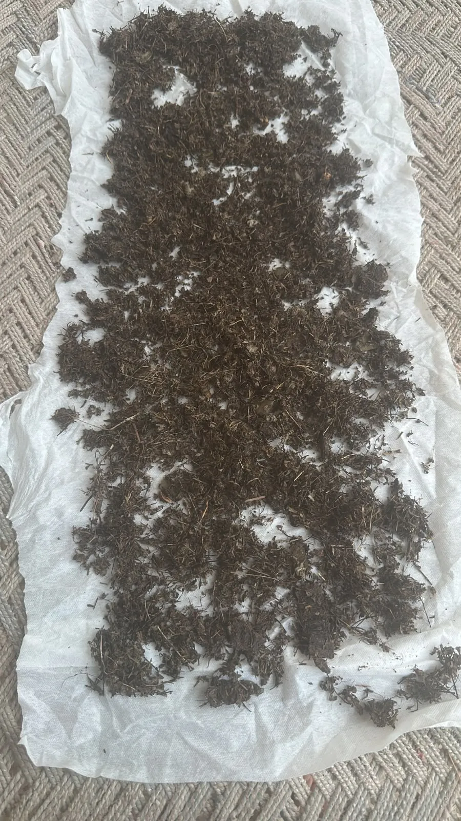 Real herbs being dried by hand for NB Herbals products